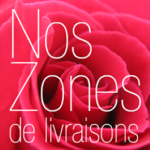 Zone de livraisons